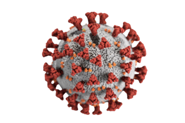 A detailed 3D rendering of the SARS-CoV-2 virus, commonly known as COVID-19, showcasing its distinctive grey core and red spike proteins. background removed