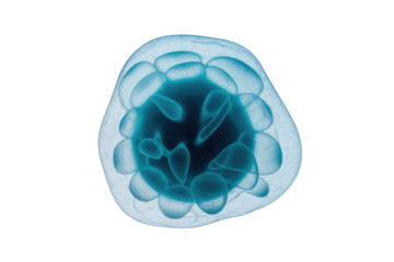 3D rendered blue microscopic cell or virus with internal components and an outer membrane, isolated on a dark transparent background, representing biology. background removed