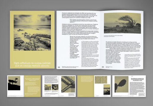 Professional Editorial Magazine Layout