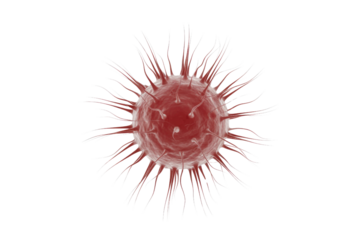A 3D rendered red microscopic organism, resembling a virus or bacterium with numerous spikes, on a transparent background. Represents disease. background removed