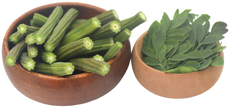 Edible moringa with fresh leaves