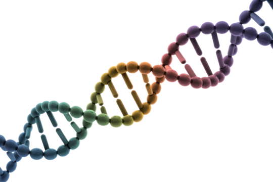 A vibrant 3D rendering of a DNA double helix, showcasing the fundamental structure of genetic information with a colorful gradient. background removed