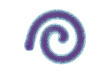 A mesmerizing purple-blue spiral structure resembling a microscopic organism or cellular formation, featuring intricate textured details on a dark transparent background. background removed