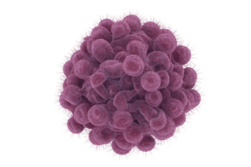 A 3D rendering of a cluster of purple, spiky microorganisms, possibly bacteria or viruses, representing microscopic life and infectious agents. background removed