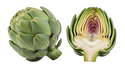 Fototapeta premium Whole and Halved Artichoke Vegetable food fresh
