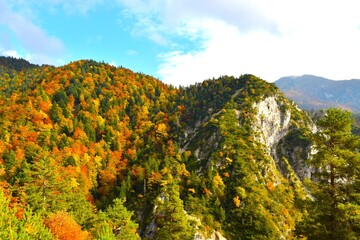 Mountains covered in orange and yellow autumn forest in Karavanke, Gorenjska, Slovenia