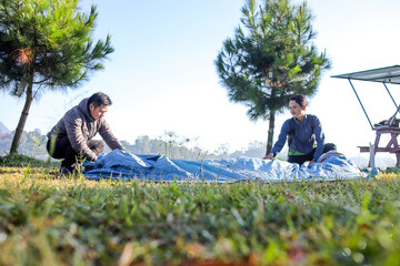 Friends Working Together to Prepare their Campsite under Pine Trees on a Sunny Morning