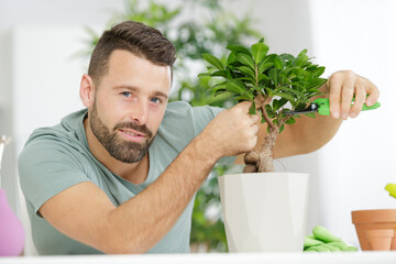 a man trimming a bonsai