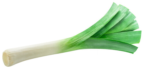 Leek stem isolated on white background.