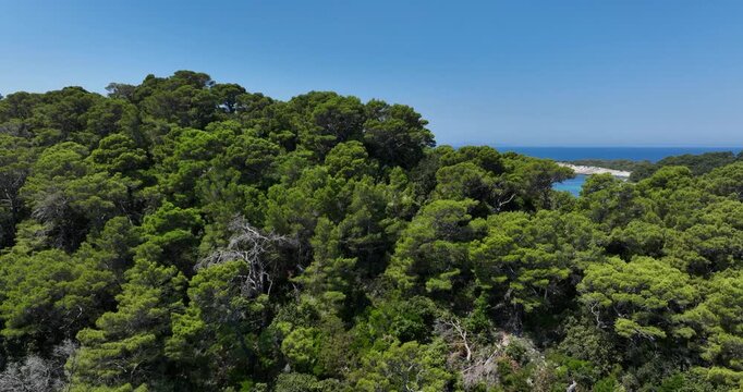 Forest and yachts by coast of Croatian island Mljet, aerial parallax