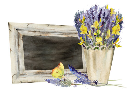 Framed blackboard sign with wild lavandula and Spanish broom bouquet in metal cachepot, butterfly insect. Isolated illustration hand drawn in watercolor. Lavender shop, farm display, greeting card.