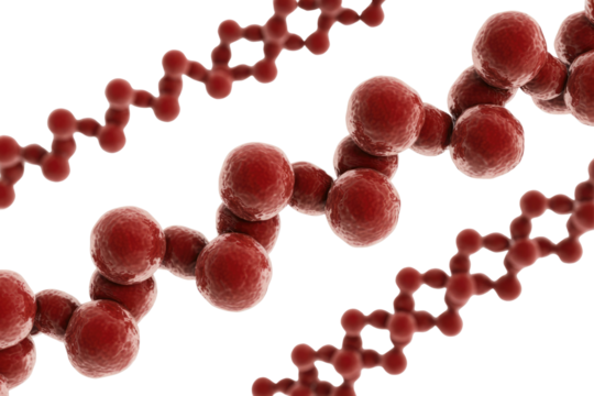 Red microscopic organic particles or cells clustered in chains, depicting biological or molecular structures against a transparent background, ready for overlay. background removed