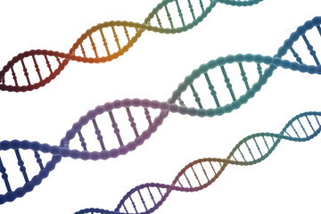 Multiple vibrant, rainbow-colored DNA double helix strands intertwine and float, symbolizing genetics, research, and the intricate code of life. background removed