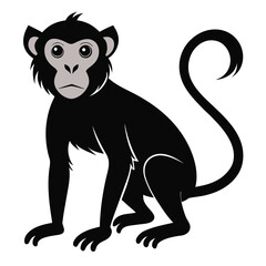 monkey sitting, cartoon primate vector icon with gray face. Isolated jungle animal graphic for logo, zoo, or mascot design.