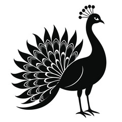 peacock silhouette vector on white background