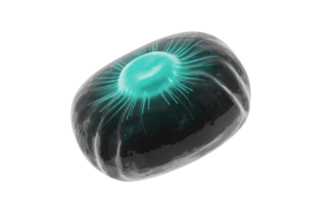A translucent, dark, blob-like microscopic organism with a glowing teal core and radiating tendrils, suggesting a virus, cell, or abstract alien life. background removed
