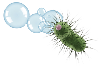 A 3D rendering of a green, rod-shaped bacterium with numerous hair-like structures and a pink nucleus, surrounded by clear bubbles. background removed