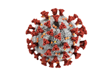 A 3D rendering of the SARS-CoV-2 virus (COVID-19), displaying red spike proteins on its textured grey surface, against a transparent background. background removed