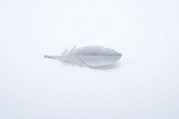 Obraz premium Generative AI image of a delicate white feather floating lightly on a clean white background.