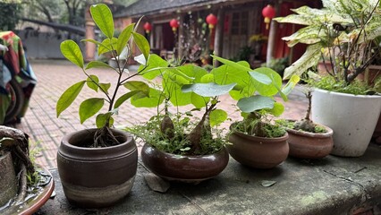 Ancient pagoda in Bai Dinh, Ninh Binh, Vietnam