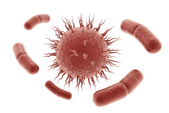 A 3D render of a red virus-like particle with spikes surrounded by multiple red rod-shaped bacteria, on a transparent background. background removed