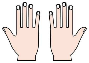 両手を広げた手のひら（手のケア・美容）