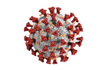 Detailed 3D rendering of SARS-CoV-2 (COVID-19) virus, showing its red spike proteins, yellow envelope proteins, and grey surface on a transparent background. background removed