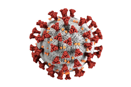 Detailed 3D rendering of SARS-CoV-2 (COVID-19) virus, showing its red spike proteins, yellow envelope proteins, and grey surface on a transparent background. background removed