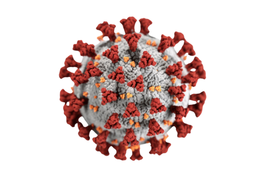Detailed 3D rendering of SARS-CoV-2 (COVID-19) virus, showing its red spike proteins, yellow envelope proteins, and grey surface on a transparent background. background removed