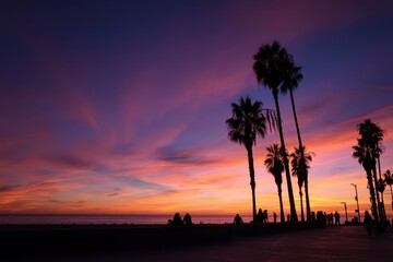 Sunset on Abbot Kinney - Palm Trees Silhouette in Tropical Beach Landscape