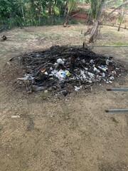 garbage in the forest