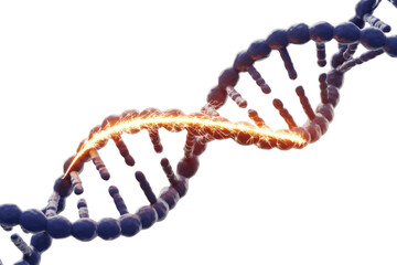 Dynamic DNA helix featuring an energetic orange spark, symbolizing genetic editing, repair, or activation. background removed