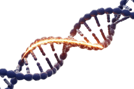 Dynamic DNA helix featuring an energetic orange spark, symbolizing genetic editing, repair, or activation. background removed