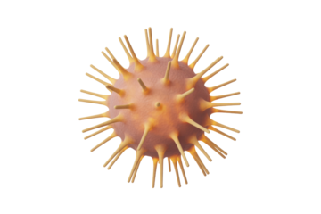3D rendering of a spiky, spherical virus-like particle, resembling coronavirus. Ideal for medical, disease, or pathogen illustrations on transparent background. background removed