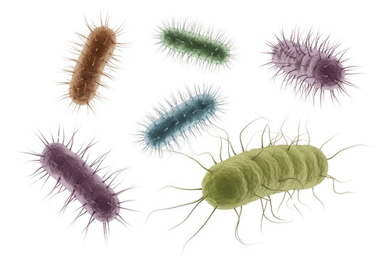 Vibrant 3D rendered rod-shaped bacteria, known as bacilli, displaying intricate surface structures like pili and flagella, symbolizing microbial life. background removed