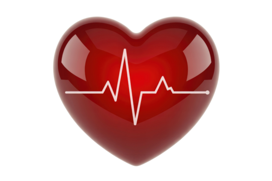 A glossy red heart with a white electrocardiogram (ECG) line prominently displays a healthy heartbeat, symbolizing life, love, health, and medical care concepts. background removed