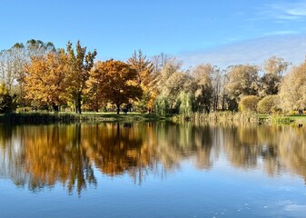 Fantastic vivid and colorful autumn trees reflection on the pure blue lake water, clear blue sky, beautiful golden fall