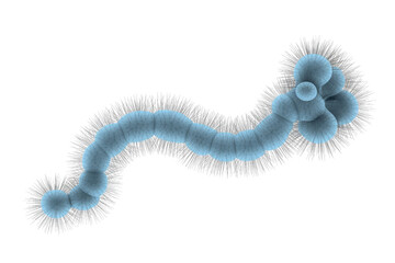 An abstract, segmented, light blue cellular or worm-like structure with a spiky, hairy outer layer, resembling a microorganism on a dark transparent background. background removed