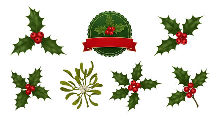 Festive Holly and Mistletoe Vector Pack for Holiday Designs