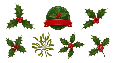 Festive Holly and Mistletoe Vector Pack for Holiday Designs
