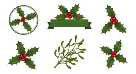 Christmas holly and mistletoe collection for holiday-themed designs