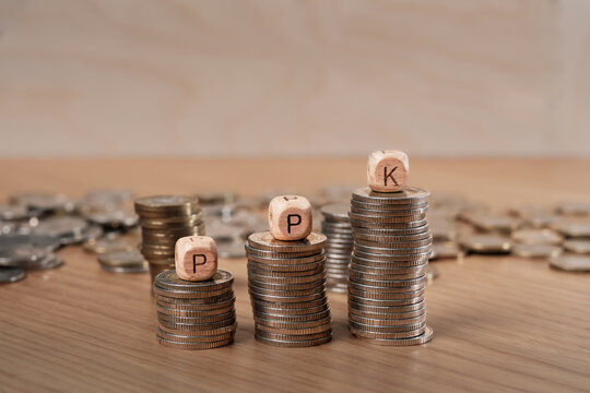 Wooden cubes with letters PPK (Employee Capital Plans &ndash; Pracownicze Plany Kapitałowe) on stacks of Polish coins symbolizing workplace savings and financial growth.