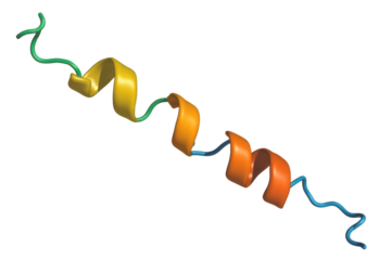 Ribbon diagram of a biomolecule, likely a protein, featuring alpha-helices and connecting loops. Various segments are color-coded on a transparent background. background removed