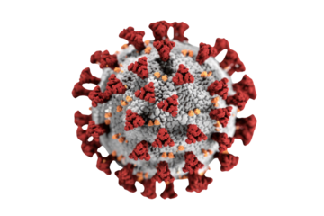3D rendering of a SARS-CoV-2 virus particle, showing its distinctive red spike proteins and surface structures against a solid transparent background. background removed