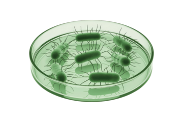 Green bacteria with flagella in a petri dish, a 3D medical illustration depicting microscopic life and potential pathogens. background removed