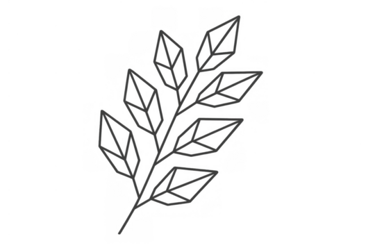Minimalist geometric leaf line art drawing on transparent background, symbolizing nature, growth, ecology, and organic design