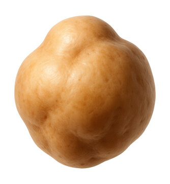 Smooth, swollen light brown gall from root knot nematodes.