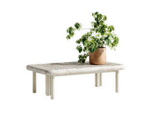 Plant on ridged, off-white table against a black background