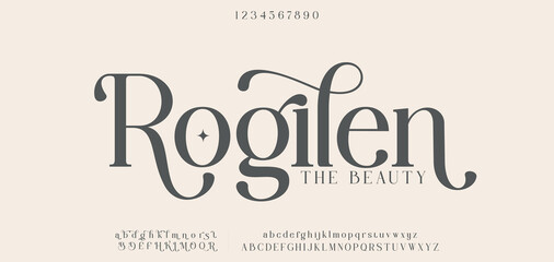 Elegant alphabet letters font and number. Classic Lettering Minimal Fashion Designs. Typography modern serif fonts regular decorative vintage concept. vector illustration