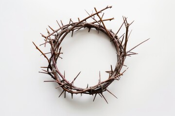 Fototapeta premium Crown of thorns white background circle branch.